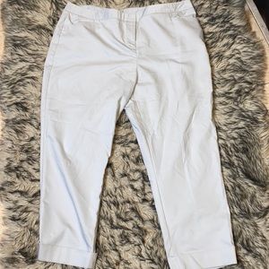 Lane Bryant Gray Ankle Pant Sz 22